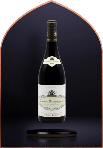 Coteaux Bourguignons 2021